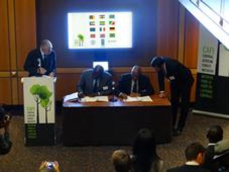 A unique trust fund collaboration to fight deforestation in central Africa A unique trust fund collaboration to fight deforestation in central Africa