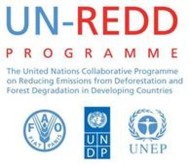 New Phase of UN-REDD launched at COP 21 New Phase of UN-REDD launched at COP 21