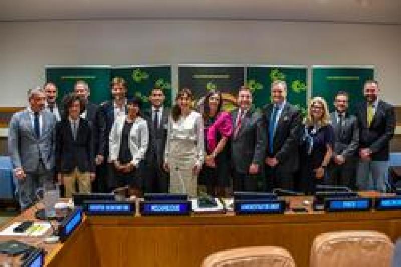 Lion’s Share Fund launched at the UN General Assembly Lion’s Share Fund launched at the UN General Assembly