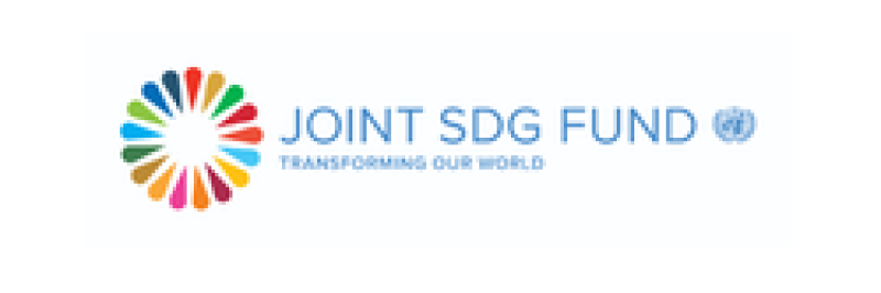 Joint SDG Fund launches call for concept notes Joint SDG Fund launches call for concept notes