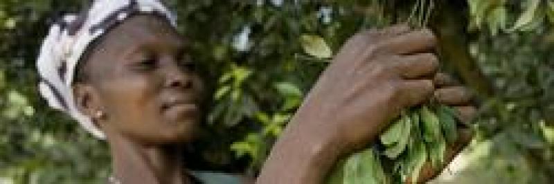 $65 million to protect Congo’s high-carbon peatlands $65 million to protect Congo’s high-carbon peatlands