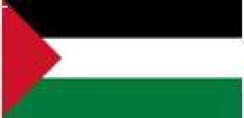 Newly Established occupied Palestinian territory Trust Fund (oPt Trust Fund) Newly Established occupied Palestinian territory Trust Fund (oPt Trust Fund)