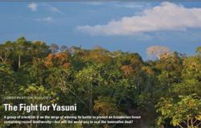 Science magazine article: The Fight for YASUNI Science magazine article: The Fight for YASUNI