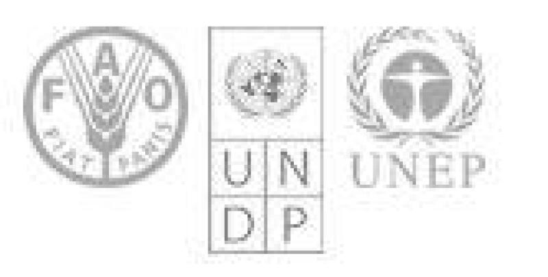 REDD+ Partnership Secretariat Support Services Joint Programme signed REDD+ Partnership Secretariat Support Services Joint Programme signed