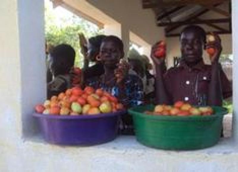 Sudan Recovery Fund - Southern Sudan: New market rakes in more profit for women's groups Sudan Recovery Fund - Southern Sudan: New market rakes in more profit for women's groups