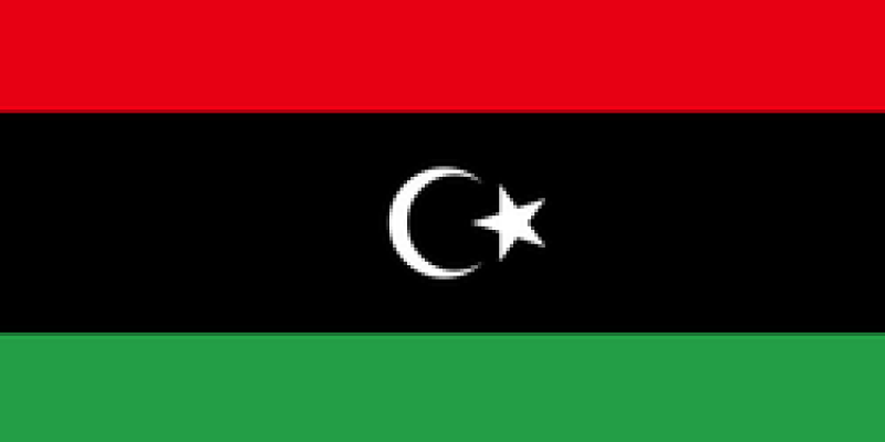 Libya Recovery Trust Fund established Libya Recovery Trust Fund established
